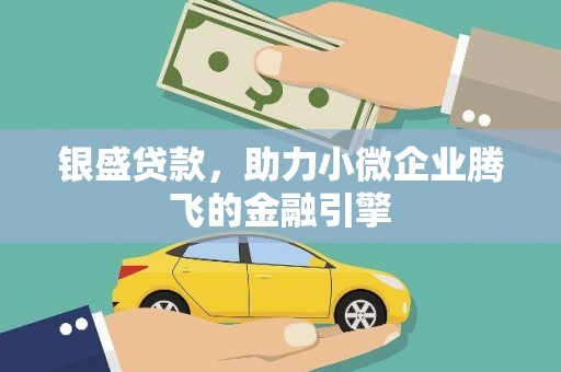 沈丘银盛贷款，助力小微企业腾飞的金融引擎