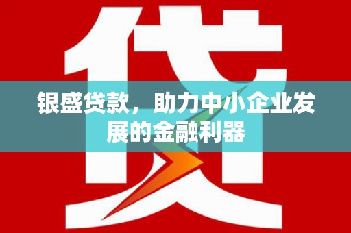 沈丘银盛贷款，助力中小企业发展的金融利器