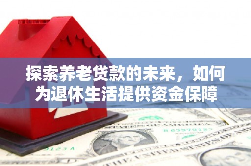 沈丘探索养老贷款的未来，如何为退休生活提供资金保障