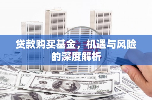 沈丘贷款购买基金，机遇与风险的深度解析