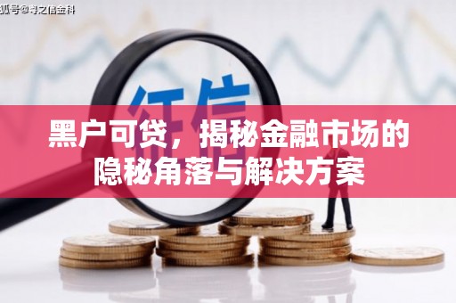 沈丘黑户可贷，揭秘金融市场的隐秘角落与解决方案