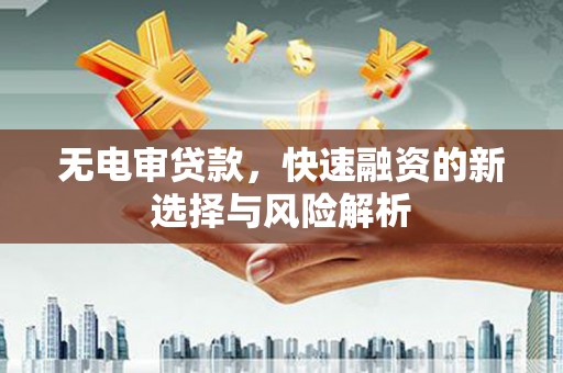 沈丘无电审贷款，快速融资的新选择与风险解析