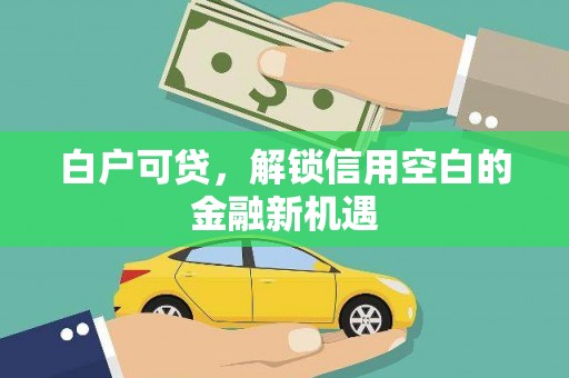 沈丘白户可贷，解锁信用空白的金融新机遇