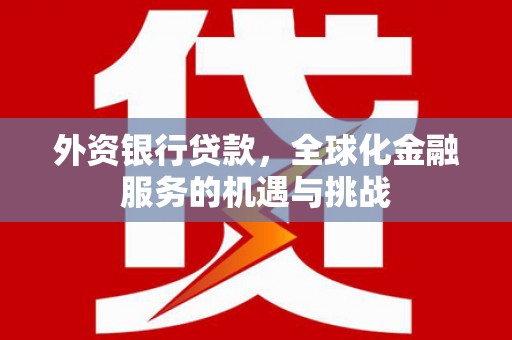 沈丘外资银行贷款，全球化金融服务的机遇与挑战
