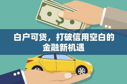 沈丘白户可贷，打破信用空白的金融新机遇