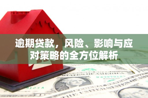 沈丘逾期贷款，风险、影响与应对策略的全方位解析