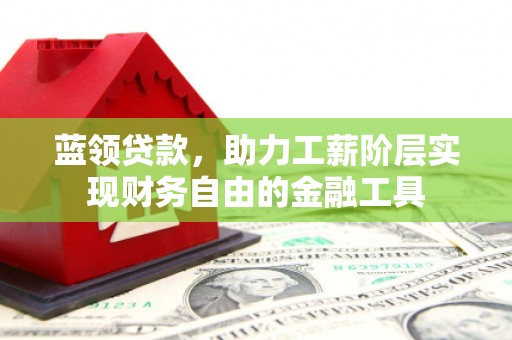 沈丘蓝领贷款，助力工薪阶层实现财务自由的金融工具