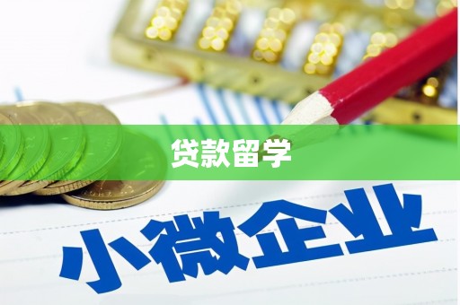 沈丘贷款留学