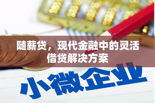 沈丘随薪贷，现代金融中的灵活借贷解决方案
