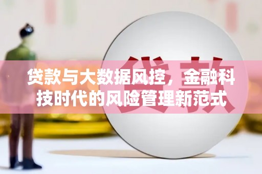 沈丘贷款与大数据风控，金融科技时代的风险管理新范式
