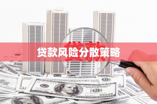 沈丘贷款风险分散策略