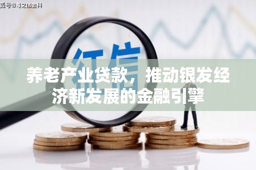 沈丘养老产业贷款，推动银发经济新发展的金融引擎