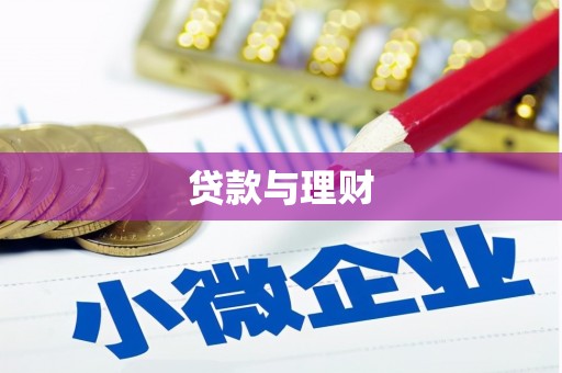 沈丘贷款与理财