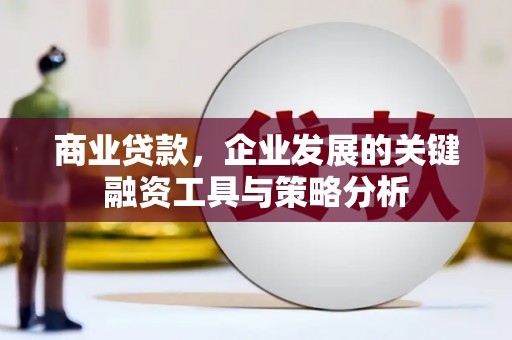 沈丘商业贷款，企业发展的关键融资工具与策略分析