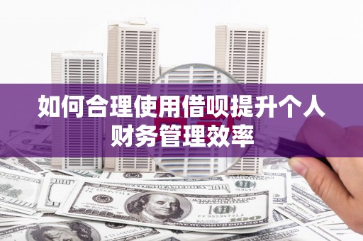 沈丘如何合理使用借呗提升个人财务管理效率