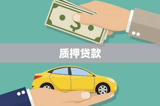 沈丘质押贷款