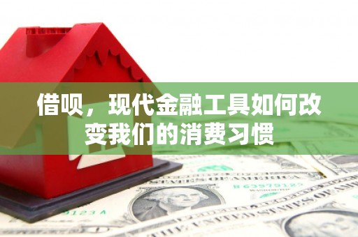 沈丘借呗，现代金融工具如何改变我们的消费习惯
