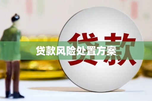 沈丘贷款风险处置方案