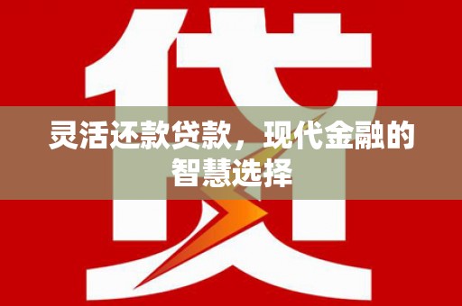 沈丘灵活还款贷款，现代金融的智慧选择