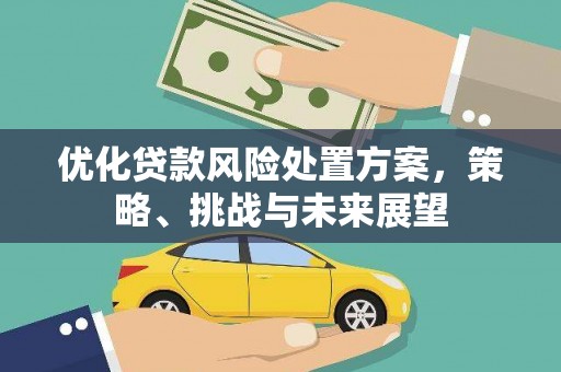 沈丘优化贷款风险处置方案，策略、挑战与未来展望