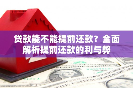 沈丘贷款能不能提前还款？全面解析提前还款的利与弊