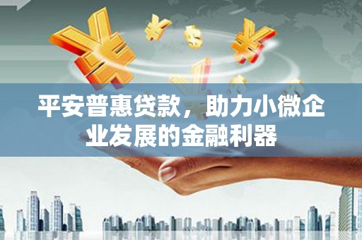 沈丘平安普惠贷款，助力小微企业发展的金融利器