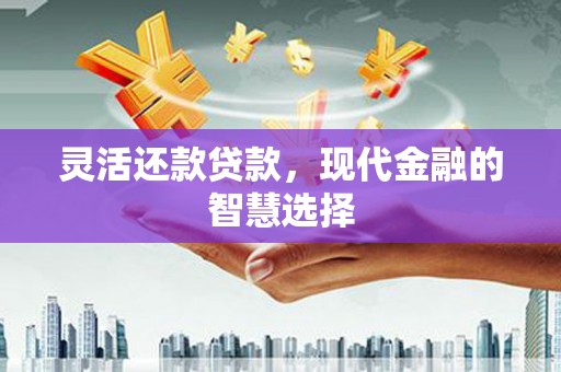 沈丘灵活还款贷款，现代金融的智慧选择