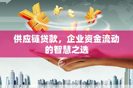 沈丘供应链贷款，企业资金流动的智慧之选