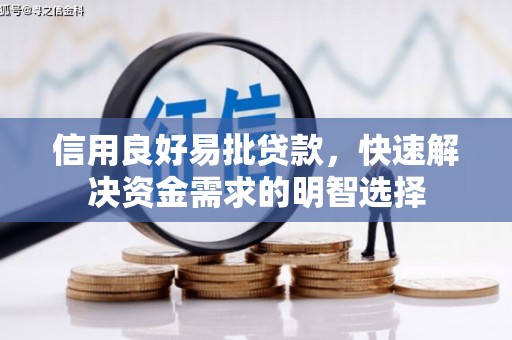 沈丘信用良好易批贷款，快速解决资金需求的明智选择