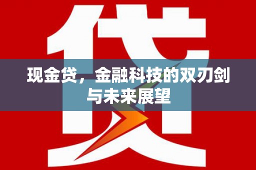 沈丘现金贷，金融科技的双刃剑与未来展望