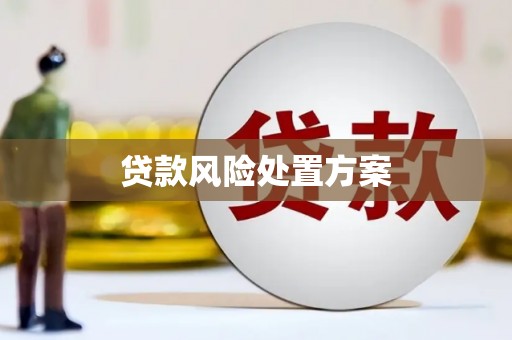 沈丘贷款风险处置方案