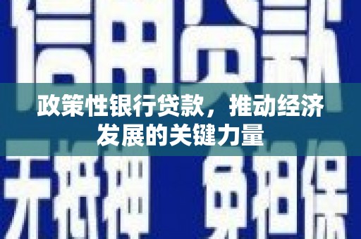 沈丘政策性银行贷款，推动经济发展的关键力量