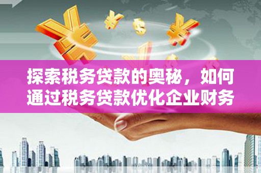 沈丘探索税务贷款的奥秘，如何通过税务贷款优化企业财务