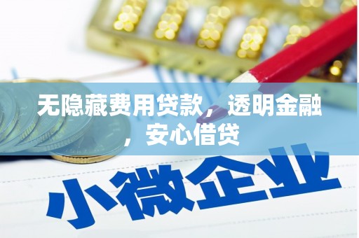 沈丘无隐藏费用贷款，透明金融，安心借贷