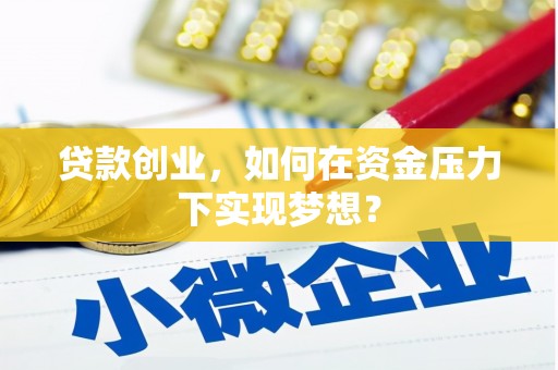 沈丘贷款创业，如何在资金压力下实现梦想？