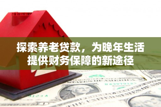 沈丘探索养老贷款，为晚年生活提供财务保障的新途径