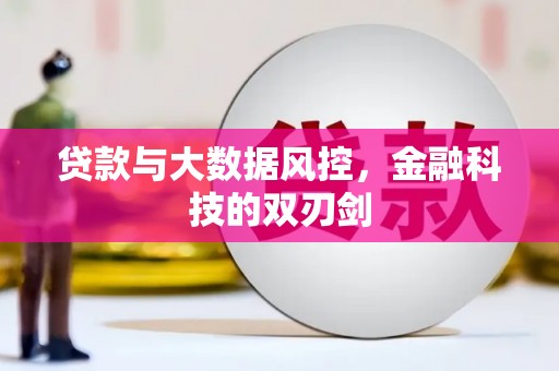 沈丘贷款与大数据风控，金融科技的双刃剑