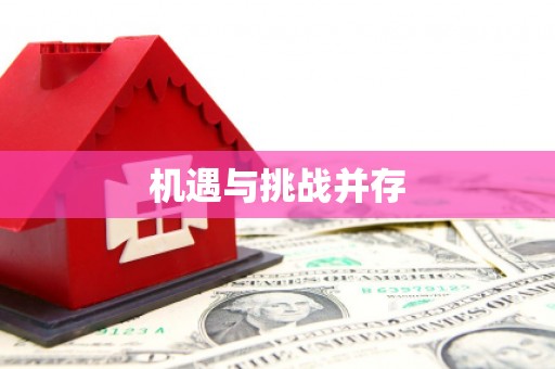 沈丘机遇与挑战并存