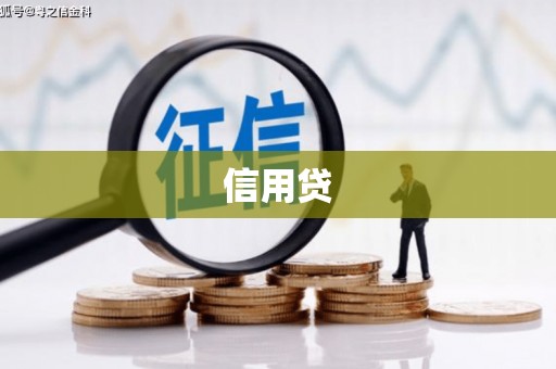 沈丘信用贷