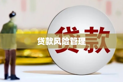 沈丘贷款风险管理