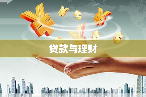 沈丘贷款与理财