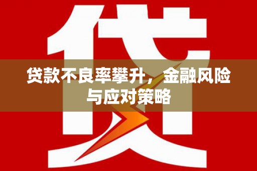 沈丘贷款不良率攀升，金融风险与应对策略