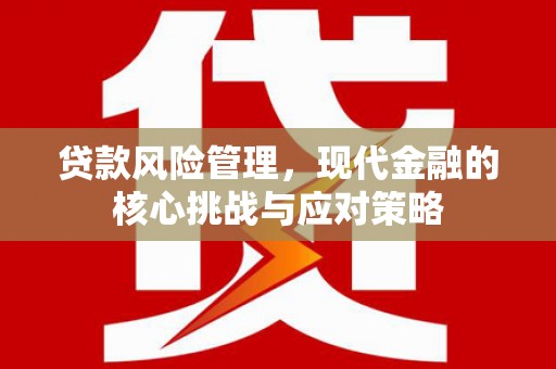 沈丘贷款风险管理，现代金融的核心挑战与应对策略