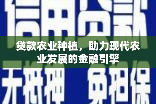 沈丘贷款农业种植，助力现代农业发展的金融引擎