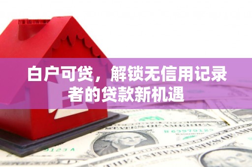 沈丘白户可贷，解锁无信用记录者的贷款新机遇
