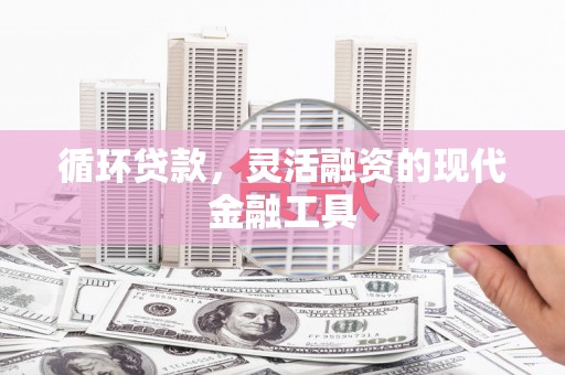 沈丘循环贷款，灵活融资的现代金融工具