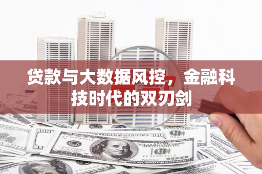 沈丘贷款与大数据风控，金融科技时代的双刃剑