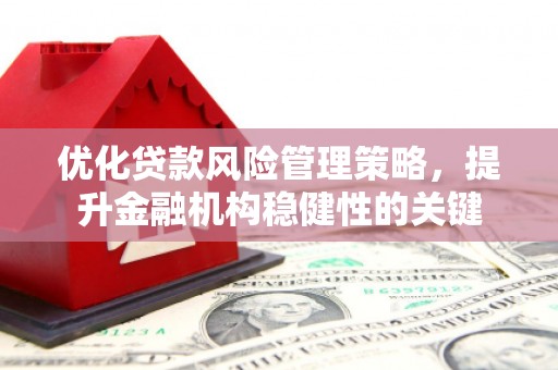 沈丘优化贷款风险管理策略，提升金融机构稳健性的关键