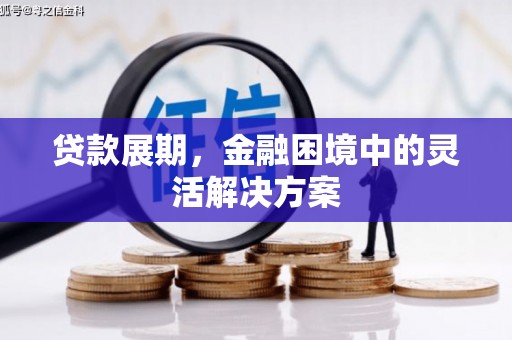 沈丘贷款展期，金融困境中的灵活解决方案