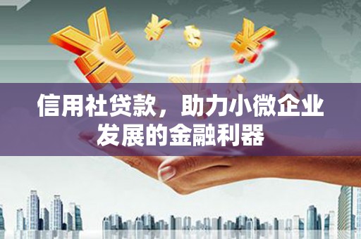 沈丘信用社贷款，助力小微企业发展的金融利器